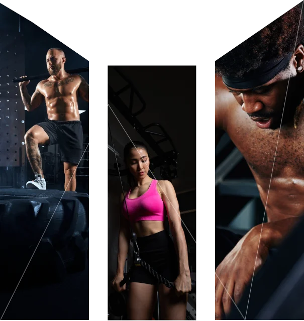 PT Studio One